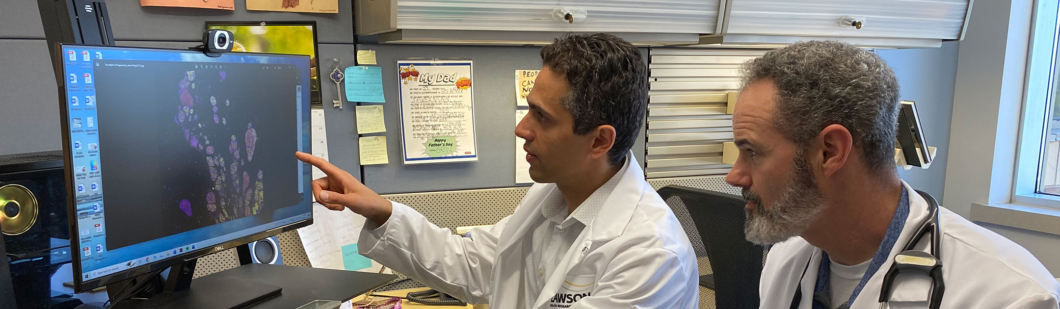 Dr. Saman Maleki and Dr. John Lenehan look at an image of a melanoma tumour on a computer screen.