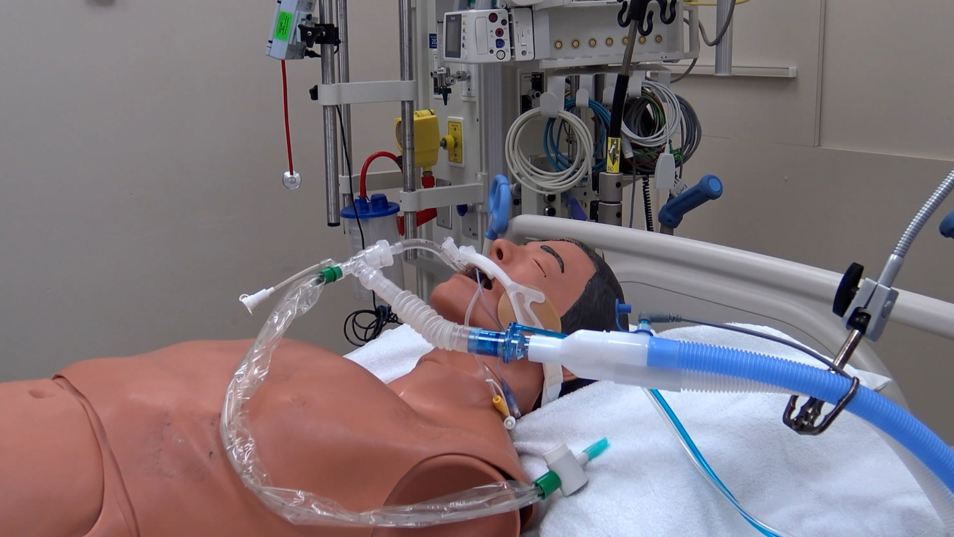 Inhaled sedation simulation
