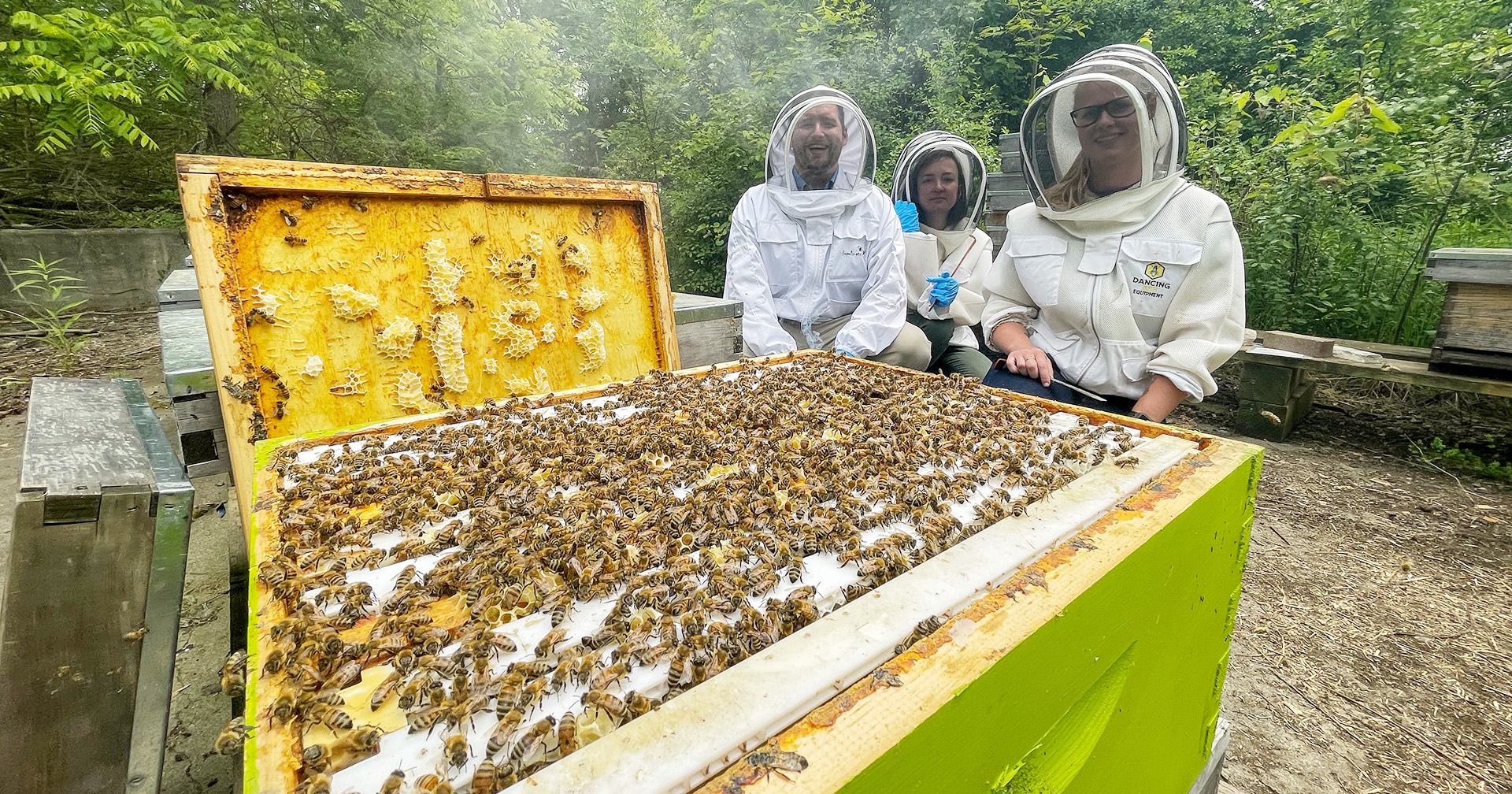 Research team with bees