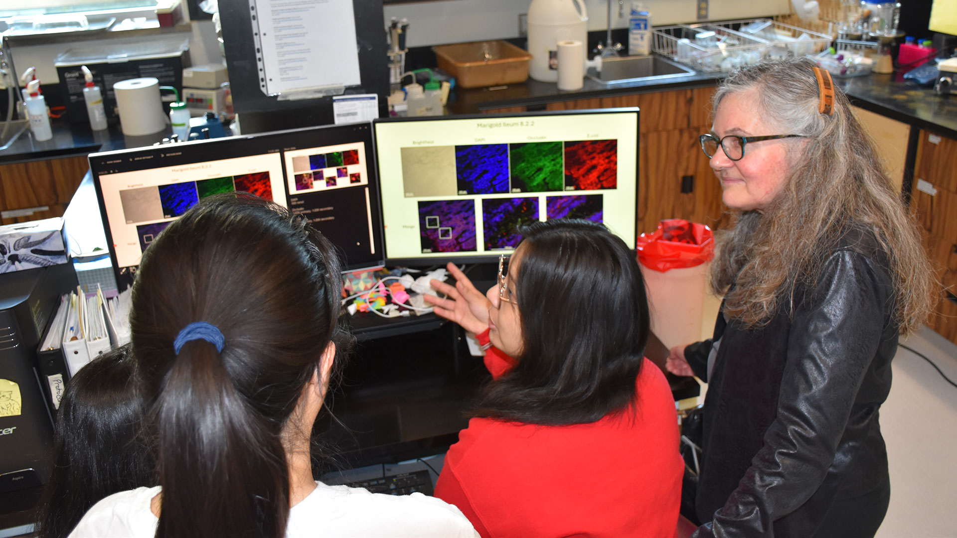 Members of the research team look at images of bacteria.