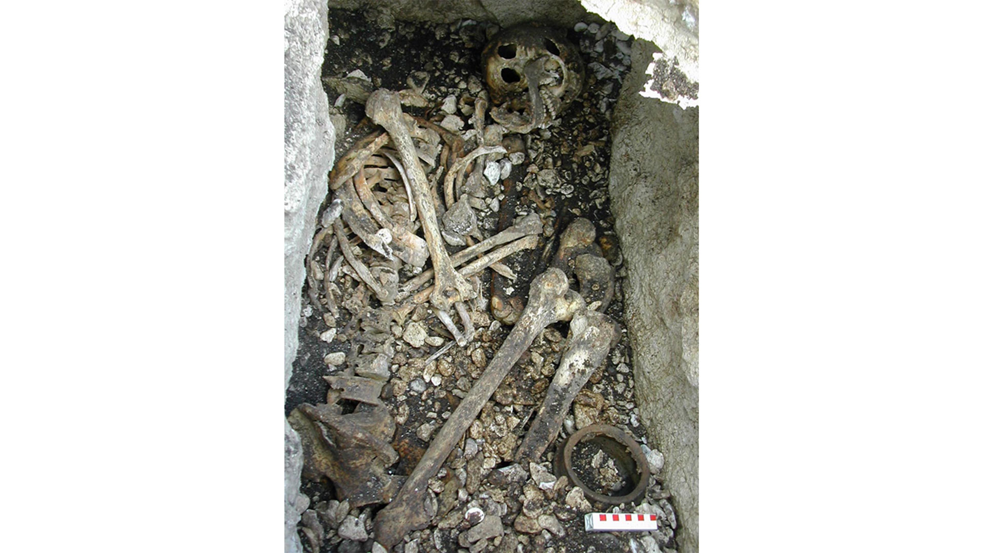 Remains in a burial site in Northern Ireland.