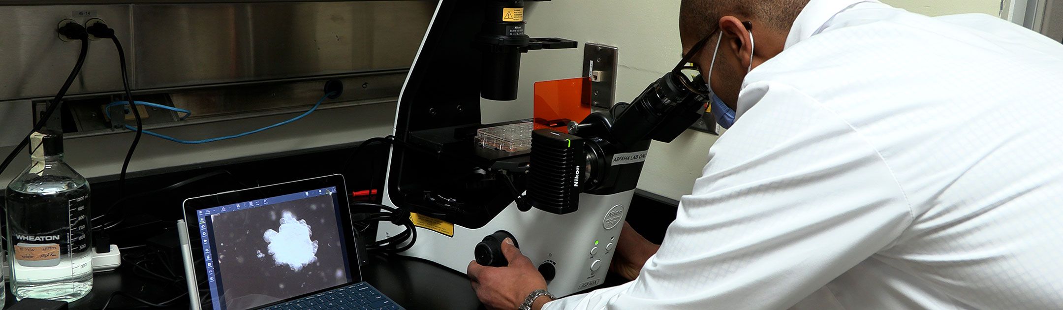 Dr. Samuel Asfaha at a microscope