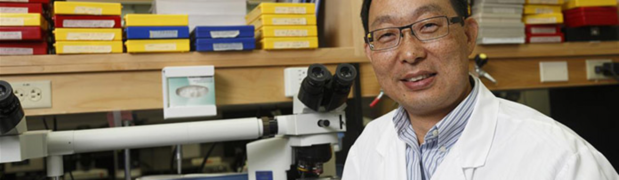 Dr. Qingping Feng at a lab bench