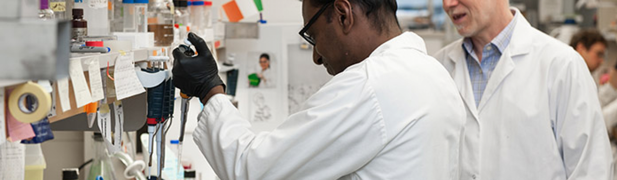 Two researchers working in a lab